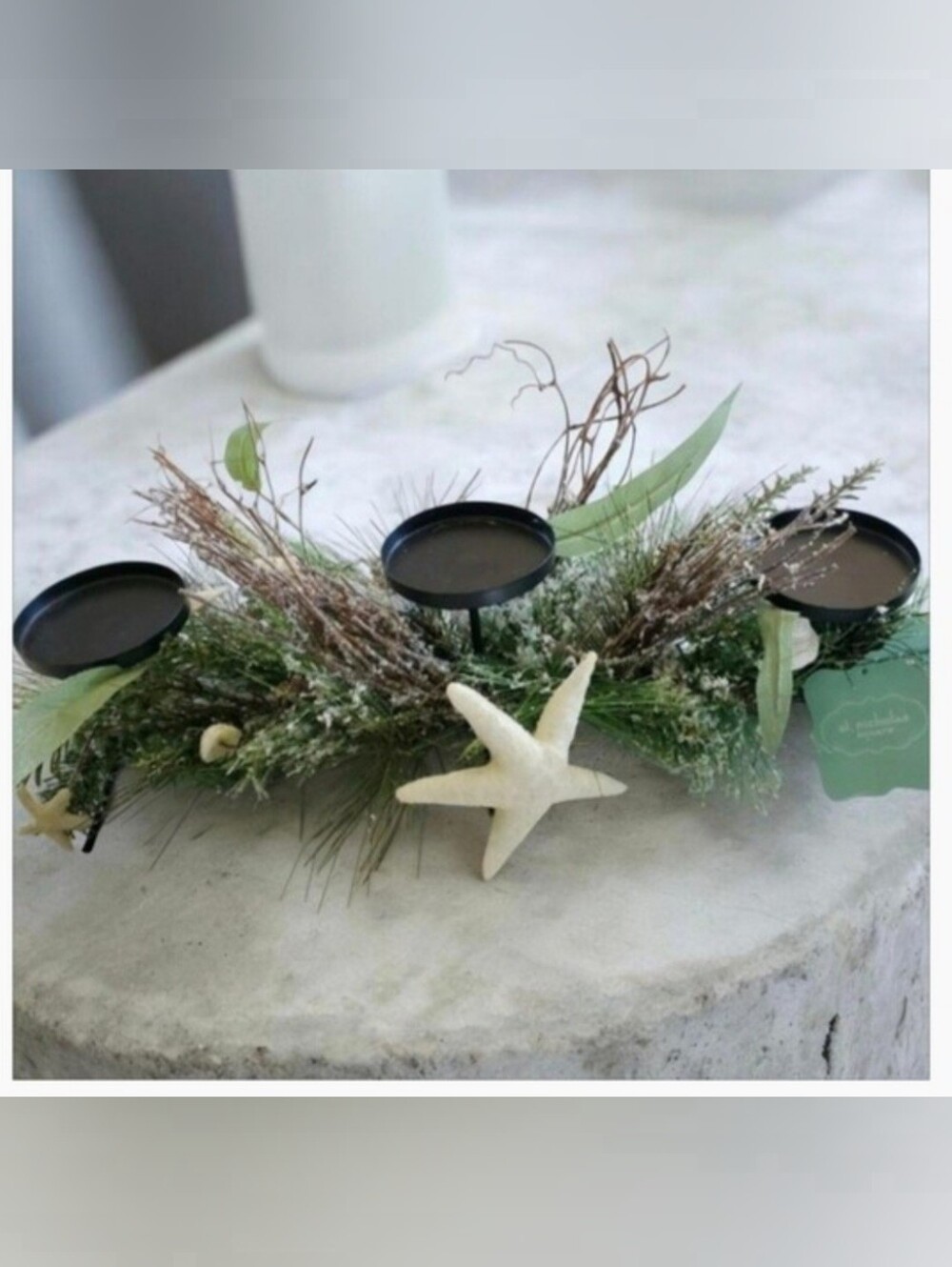 Frosted Pine Triple Candle Holder with Starfish & Sea Shells